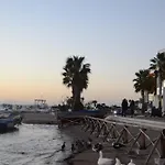 Il Riccio