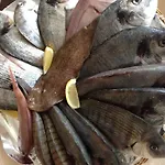Szálloda Il Riccio Porto Cesareo
