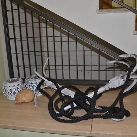 Il Riccio