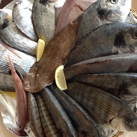 Hotel Il Riccio Porto Cesareo