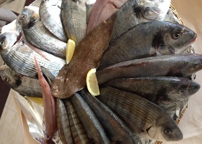 Hotel Il Riccio Porto Cesareo